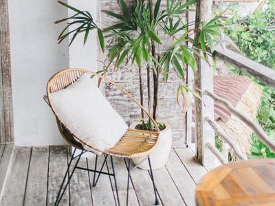 ¿Cómo elegir una silla para terraza? | 4 sillas increíbles - NOGAL BEAT
