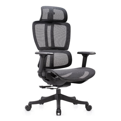Silla Ejecutiva - NOGAL BEAT - NOGAL BEAT