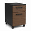 Archivero movil metalico Grupo Versa Complementos con 1 cajon y 1 gaveta, frentes melamina con jaladera Niza, 37.2x49.5x55, frentes melamina, estructura negra