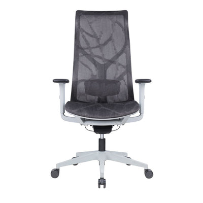 Silla De Oficina Ejecutiva - ALBAR AB-80 - Gris - Respaldo y Asiento Tapizados en Malla