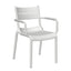 Silla para Jardín y Terraza Resistente a Rayos UV - OFFIHO NAPLES OHV - 7220A - Con Brazos - Varios Colores - Asiento y Respaldo en Polipropileno para Ambiente Salino - OHV - 7220A - OFFIHO - NOGAL BEAT - Sillas