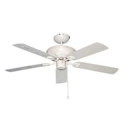 Ventilador Decorativo de Techo Evita Salinidad y Humedad Ideal para Costa - MASTERFAN HABANA 52 - Varios Colores - 5 Aspas Áreas Grandes Ventiladores de Techo Ventiladores de Pie Ventiladores de Pared Ventiladores Decorativos Diseño de Interiores Estilo Funcionalidad Espacio Acogedor Oficina Sala Terraza Asesoramiento Diseño de Interiores Tienda Online Compra Online Atención al Cliente Soporte Servicio Postventa Restaurante Bar Ventilador Comercial Hotel Hostelería
