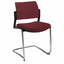 Offiho Silla Kyos Oht-339Cr Visita Base Trineo Asiento Y Respaldo Tapizado Estructura Terminado En Cromo Ergonomica - OHT-339CR - OFFIHO - NOGAL BEAT - Sillas